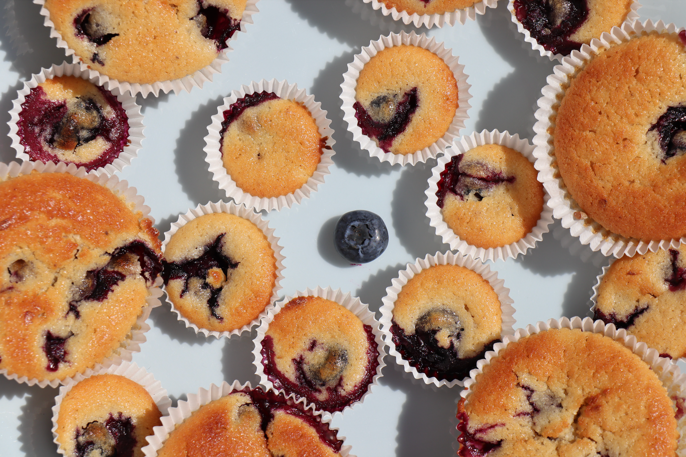 Vanilla protein & mixed berry muffin recipe – ESSA World