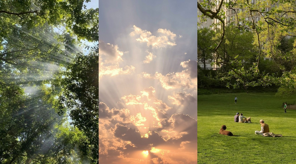 A collage of three images: sunshine breaking through the trees, a pastel pink sky and a snapshot of Central Park