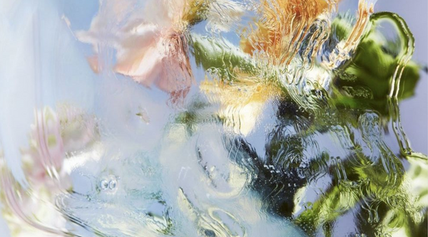 It looks like a puddle with the reflection of a flower in it. 